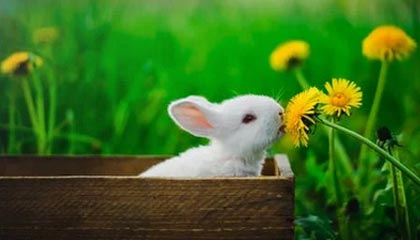 开云登录-邵化谦：重新起航的男篮谨防翻车